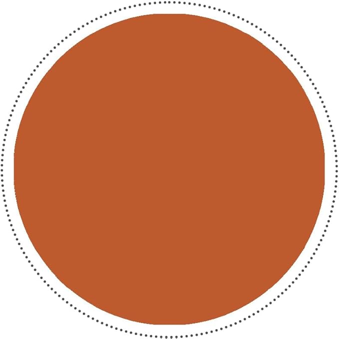 Aveniee Clear Makeup Bag, Travel Toiletry Case Car Accessories Organizer for Women, Heavy Duty Clear Pouch with Dual Zippers(Brown)