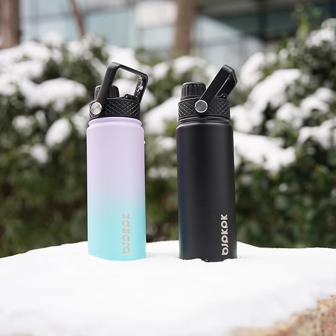 BJPKPK 2 Pack Insulated Water Bottles with Straw Lids, 22oz Stainless Steel Metal Water Bottle with 6 Lids, Leak Proof BPA Free Jugs, Cups, Flasks for Travel, Sports (Lavender Green+Black)