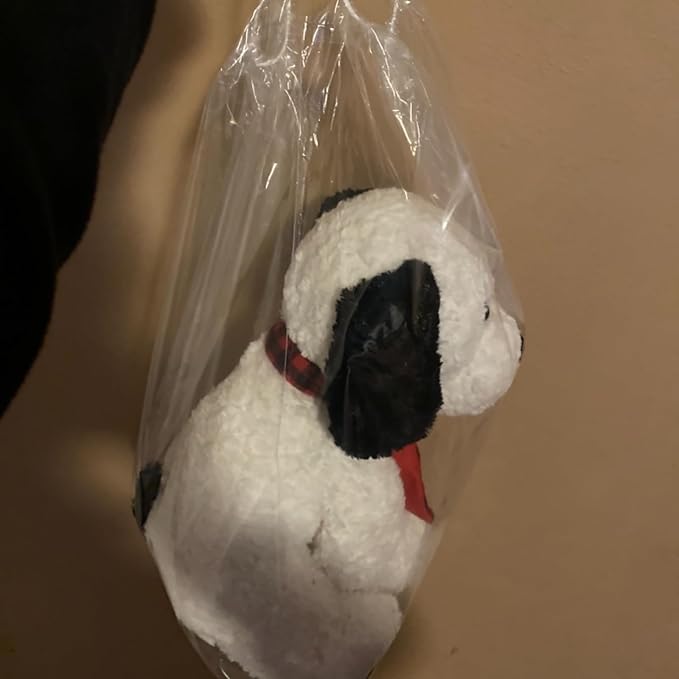 HAKZEON 100 PCS 16x20 Inch Clear Plastic Drawstring Bags, Portable Translucent Shoes Storage Organizers Pouch with Rope, Thickness 2 Mil Travel Bags for Sneakers, Dress Shoes, Slippers, Sandals