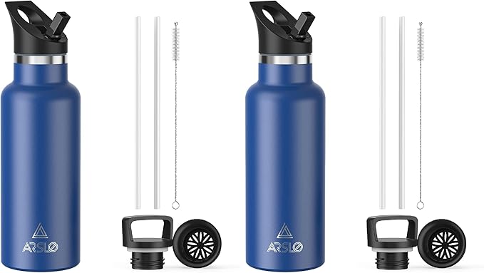 Stainless Steel Double Wall Water Bottles, Vacuum Insulated Bottle With Straw Lid, Insulated Water Bottle Keeps Water Cold for 24 Hours, Hot for 12 Hours, Hiking, Sports