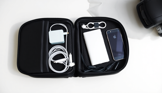 Safeguarding Your Electronics: Essential Tips for Protecting Devices While Traveling