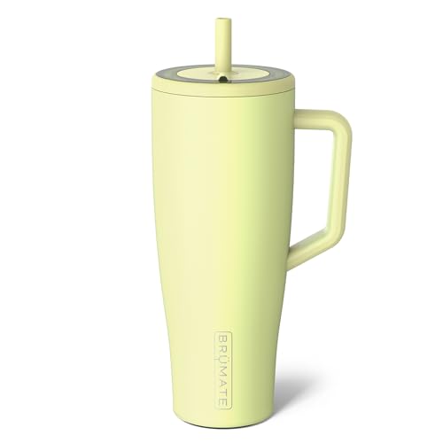 BrüMate Era 40 oz Tumbler with Handle & Straw | 100% Leakproof Insulated Water Bottle Tumbler with Lid & Flexible SoftSip Straw | Made of Stainless Steel | Cup Holder Friendly | 40oz (Prickly Pear)
