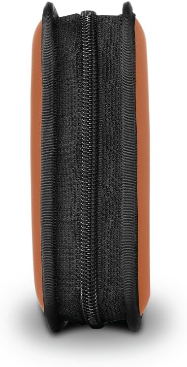 WANDRD Memory Card Case - Durable SD, Micro SD Card Holder for Creators | Camera Accessories & Electronics Organizer for Travel (Sedona Orange)