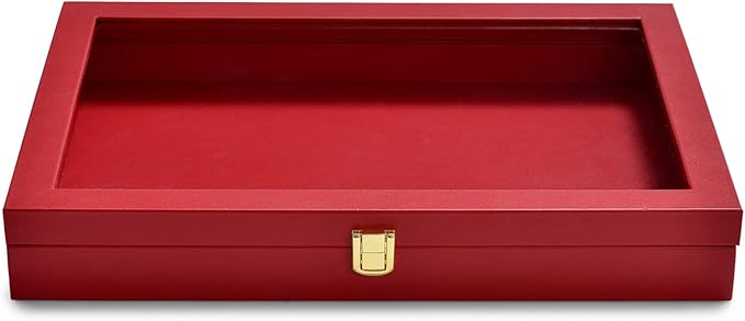 Oirlv Premium Red Leather Jewelry Tray with Acrylic Lid Jewelry Organizer Case Showcase Jewelry Display Organizer Box
