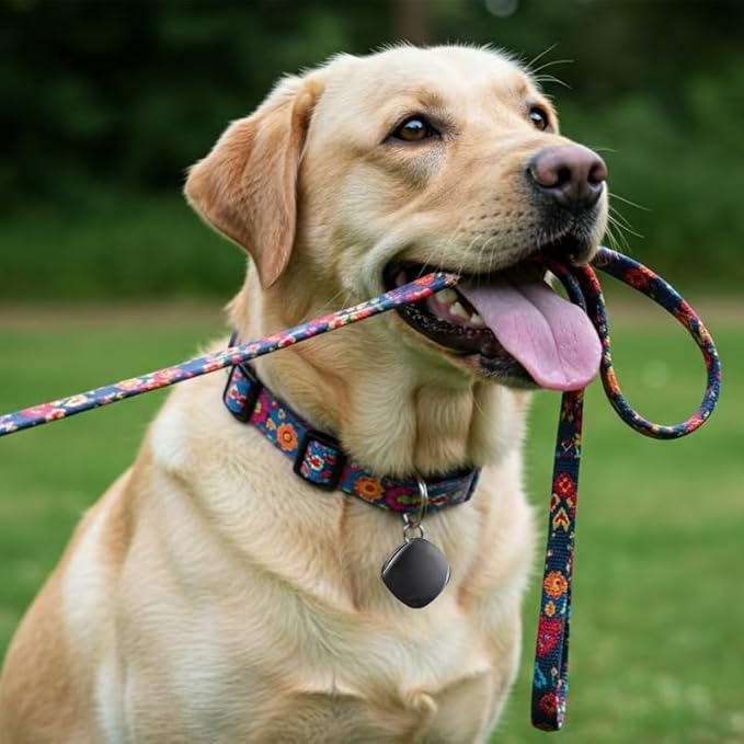 Onvis Item Finders Tracker Work with Apple Find My APP (iOS Only, Not for Android), Smart Bluetooth Locator for Keys, Luggage Suitcases, Bags Wallets, Backpack, IP67 Waterproof (4 Pack)