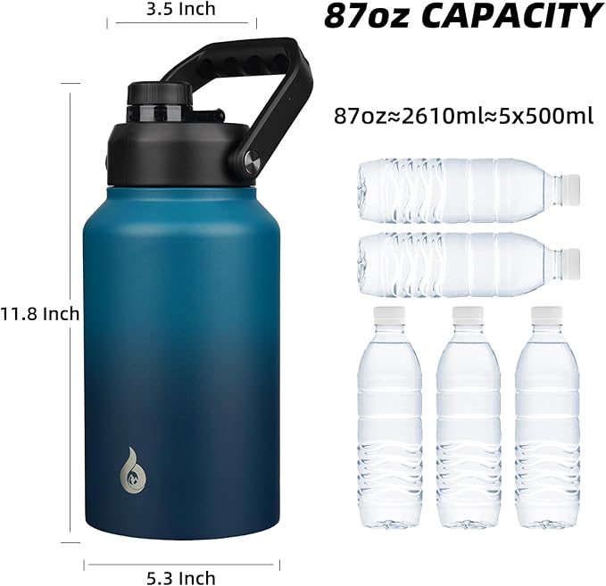 BJPKPK 87oz Insulated Water Bottle, Dishwasher Safe 2/3 Gallon Water Bottle with Ergonomic Handle, BPA Free Leak Proof Water Jug,Stainless Steel Metal Flasks with Anti-slip Bottom,Vast