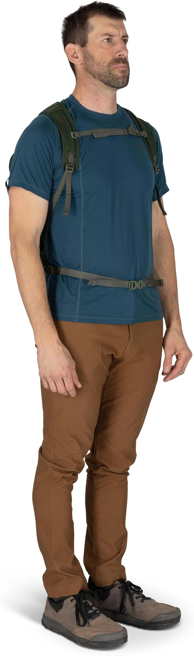 Osprey Daylite Plus Commuter Backpack – Lightweight, Everyday Pack with Laptop Sleeve and Water Bottle Pockets – Ideal for Work, School, and Travel with Versatile Storage Options, Seaweed Green