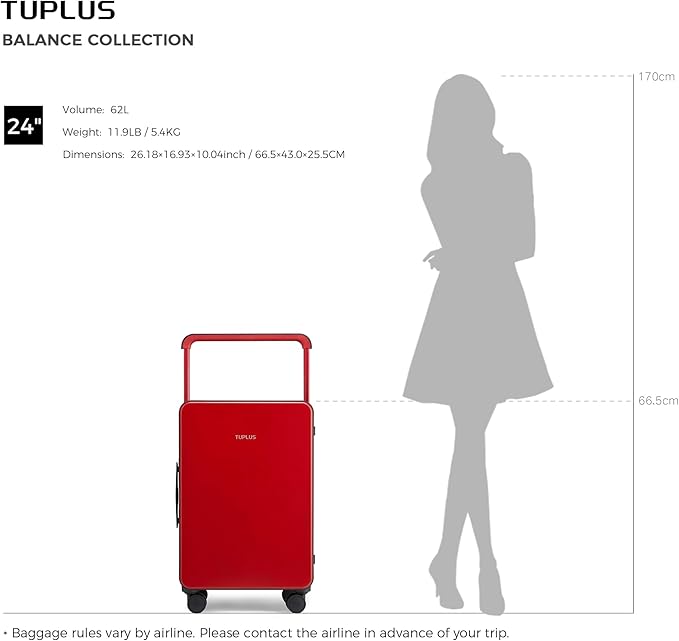 TUPLUS Suitcase ABS Hard Shell Luggage with 4 Spinner Wheels Hold Check in Travel Case, Balance Series