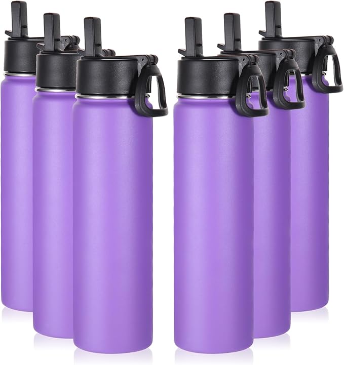 Volhoply 24oz Insulated Water Bottle With Straw Bulk 6 Pack,Metal Wide Mouth Water Bottles With Handle Lid Keep Cold,Reusable Double Wall Cups,Powder Coated Sport Bottle For Holder(Purple,6 Count)