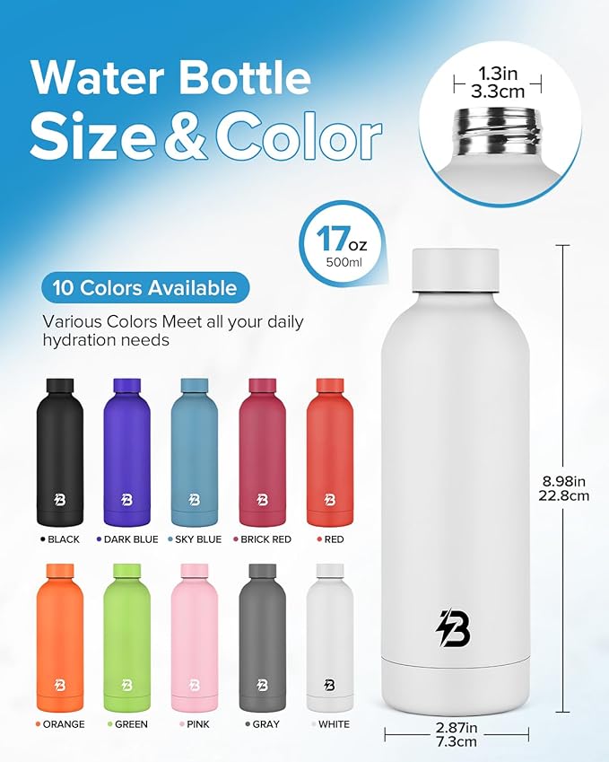 Insulated Water Bottle with Lid, 17 oz Reusable Leak-Proof Metal Stainless Steel Water Bottles for Travel, Sports, Gym, Outdoor (White)