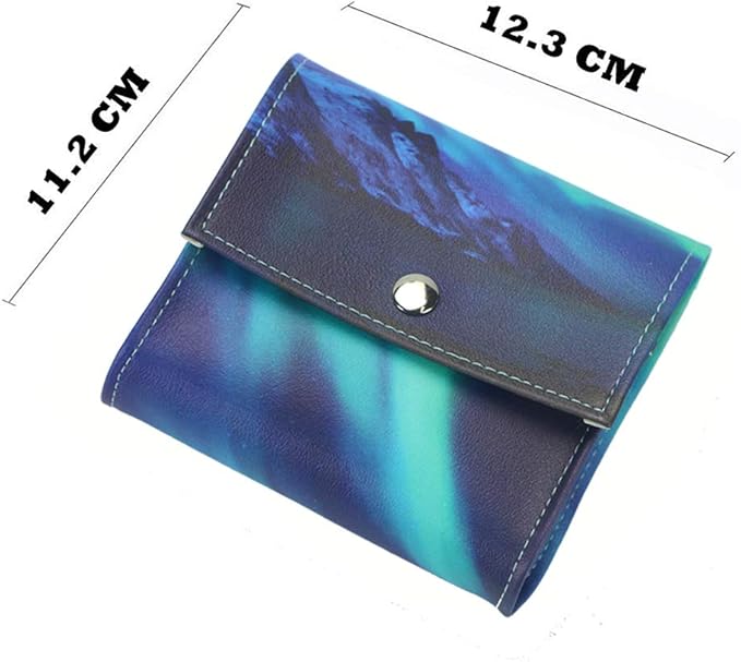 Pill Organizer,LIZIMANDU Weekly Travel Pill Case Box Medication Reminder Daily AM PM, Day Night 7 Compartments,for 4 Times A Day, 7 Days a Week-Includes Leather PU Carrying Case (Northern Light)