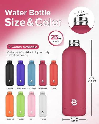 Insulated Water Bottle with Lid, 25 oz Reusable Leak-Proof Metal Stainless Steel Water Bottles for Travel, Sports, Gym, Outdoor (Brick Red)