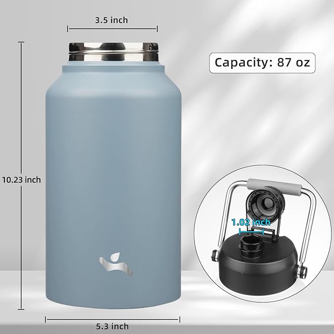 Jug with Handle,87 oz Insulated Water Bottle with Carrying Pouch, Double Wall Vacuum Stainless Steel Metal Bottle,Storm Blue