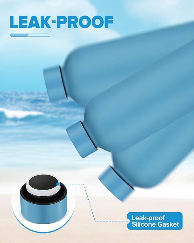 Insulated Water Bottle with Lid, 17 oz Reusable Leak-Proof Metal Stainless Steel Water Bottles for Travel, Sports, Gym, Outdoor (Sky Blue)