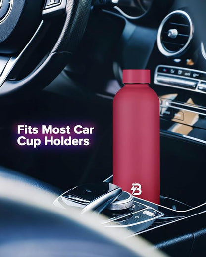 Insulated Water Bottle with Lid, 17 oz Reusable Leak-Proof Metal Stainless Steel Water Bottles for Travel, Sports, Gym, Outdoor (Brick Red)