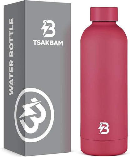 Insulated Water Bottle with Lid, 17 oz Reusable Leak-Proof Metal Stainless Steel Water Bottles for Travel, Sports, Gym, Outdoor (Brick Red)
