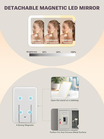 Qislee Makeup Box Mini with A Detachable Lighted Mirror, Waterproof Small Makeup Case,Cosmetic Organizer and Travel Train Case with Magnetic LED Mirror(Silver Frame Iridescent Pink)