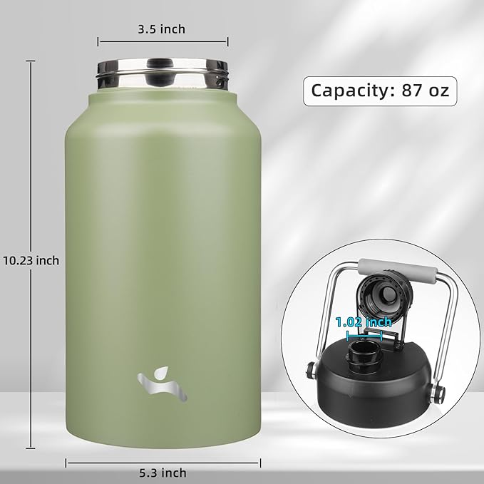 Jug with Handle,87 oz Insulated Water Bottle with Carrying Pouch, Double Wall Vacuum Stainless Steel Metal Bottle,Camp Green