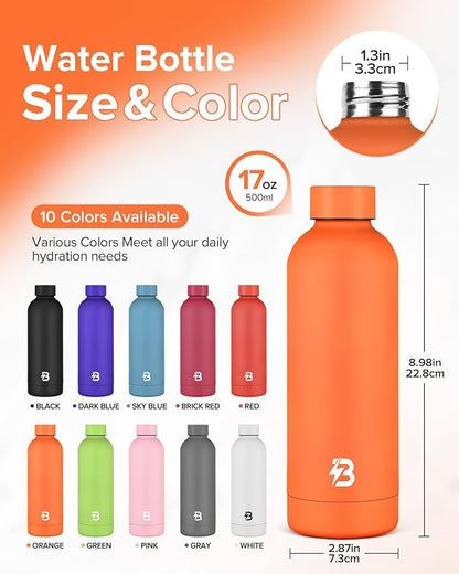 Insulated Water Bottle with Lid, 17 oz Reusable Leak-Proof Metal Stainless Steel Water Bottles for Travel, Sports, Gym, Outdoor (Orange)