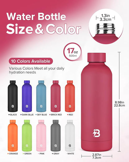 Insulated Water Bottle with Lid, 17 oz Reusable Leak-Proof Metal Stainless Steel Water Bottles for Travel, Sports, Gym, Outdoor (Brick Red)