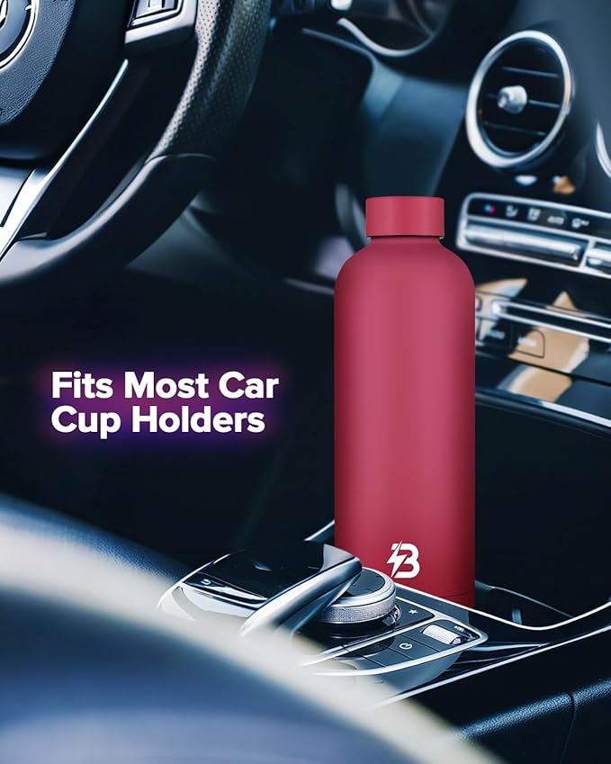 Insulated Water Bottle with Lid, 25 oz Reusable Leak-Proof Metal Stainless Steel Water Bottles for Travel, Sports, Gym, Outdoor (Brick Red)