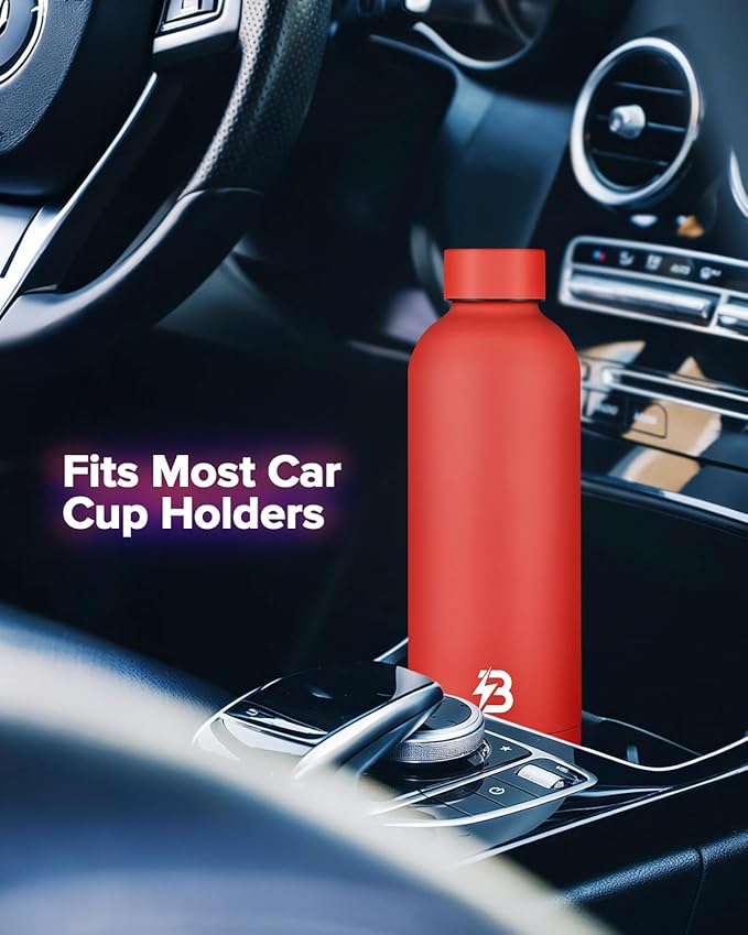 Insulated Water Bottle with Lid, 17 oz Reusable Leak-Proof Metal Stainless Steel Water Bottles for Travel, Sports, Gym, Outdoor (Red)