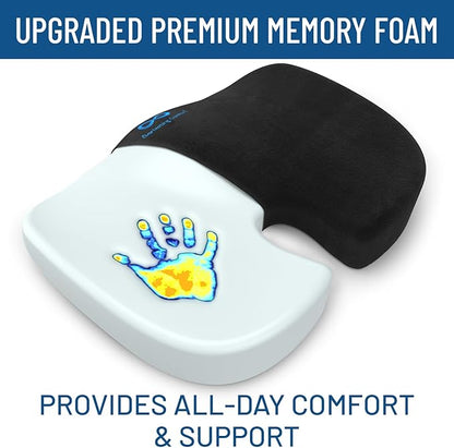 Everlasting Comfort Doctor Recommended Memory Foam Seat Cushion for Office Chairs & Car - Ergonomic Office Desk Accessories - Cushions for Tailbone Pain Relief, Sciatica & Back Support Pillow