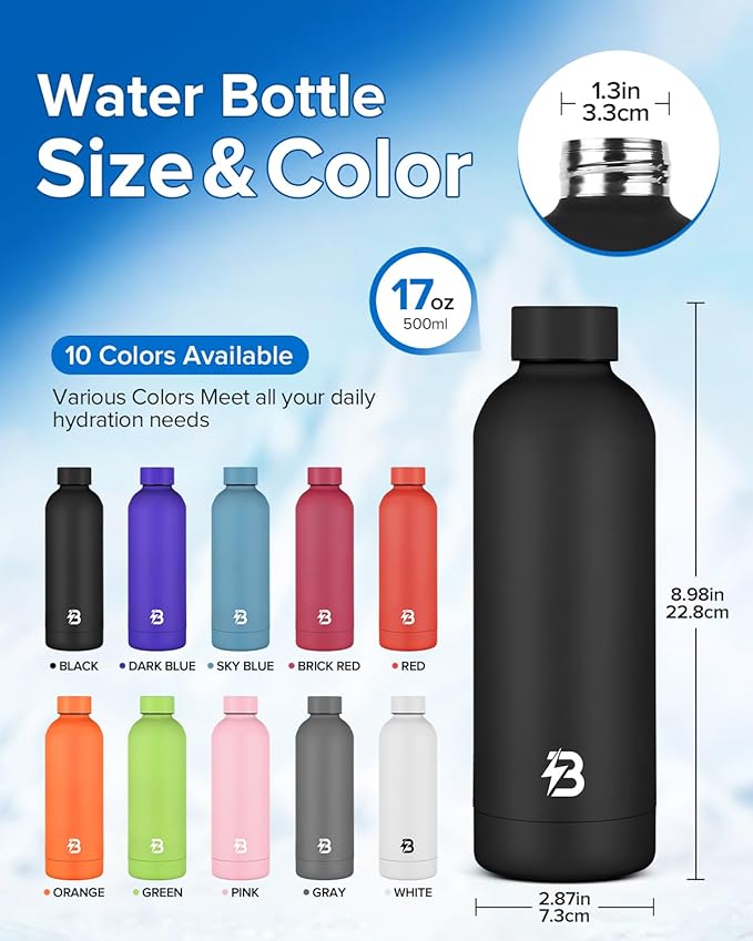 Insulated Water Bottle with Lid, 17 oz Reusable Leak-Proof Metal Stainless Steel Water Bottles for Travel, Sports, Gym, Outdoor (Black)
