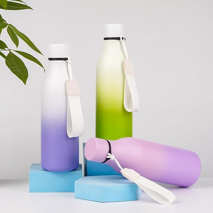 BJPKPK Insulated Water Bottle, 18 oz, Stainless Steel | Leak Proof | Pack of 2 | Lilac Elegance | With Strap