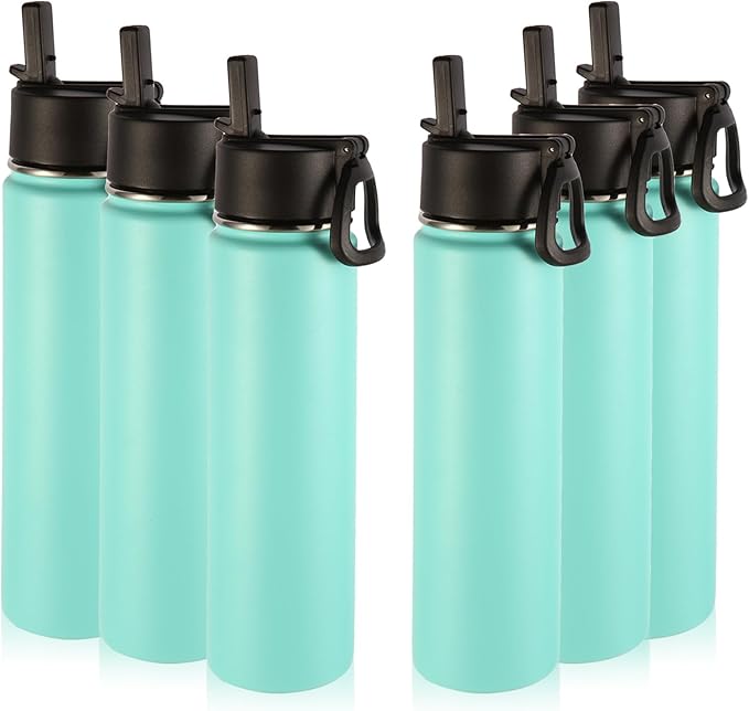Volhoply 24oz Insulated Water Bottle With Straw Bulk 6 Pack,Metal Wide Mouth Water Bottles With Handle Lid Keep Cold,Reusable Double Wall Cups,Powder Coated Sport Bottle For Holder(Mint,6 Count)