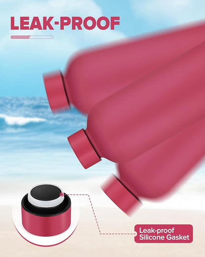 Insulated Water Bottle with Lid, 17 oz Reusable Leak-Proof Metal Stainless Steel Water Bottles for Travel, Sports, Gym, Outdoor (Brick Red)