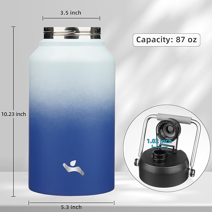 Jug with Handle,87 oz Insulated Water Bottle with Carrying Pouch, Double Wall Vacuum Stainless Steel Metal Bottle,Sky
