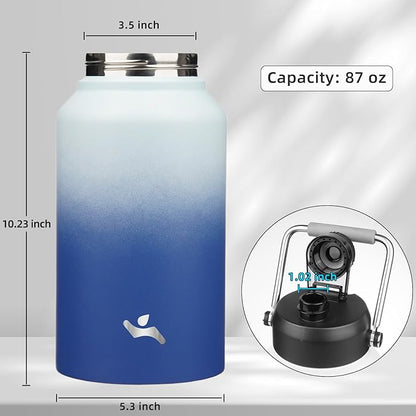 Jug with Handle,87 oz Insulated Water Bottle with Carrying Pouch, Double Wall Vacuum Stainless Steel Metal Bottle,Sky