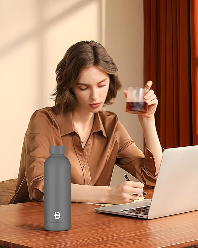 Insulated Water Bottle with Lid, 17 oz Reusable Leak-Proof Metal Stainless Steel Water Bottles for Travel, Sports, Gym, Outdoor (Gray)