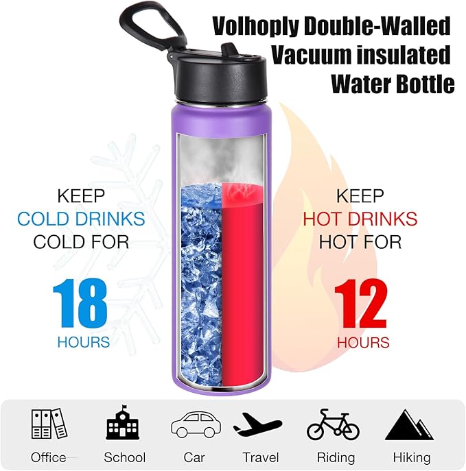 Volhoply 24oz Insulated Water Bottle With Straw Bulk 6 Pack,Metal Wide Mouth Water Bottles With Handle Lid Keep Cold,Reusable Double Wall Cups,Powder Coated Sport Bottle For Holder(Purple,6 Count)