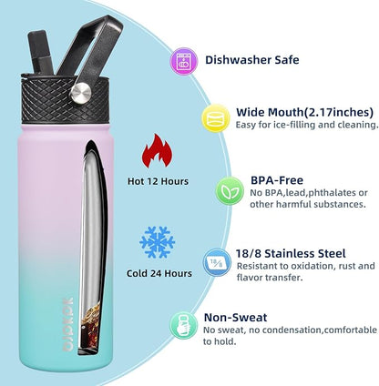 BJPKPK 2 Pack Insulated Water Bottles with Straw Lids, 22oz Stainless Steel Metal Water Bottle with 6 Lids, Leak Proof BPA Free Jugs, Cups, Flasks for Travel, Sports (Lavender Green+Black)