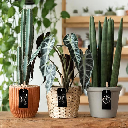 1000 Pieces Plastic Shipping Tags with Wire Labeling Tags Waterproof Hang Tags with Reinforcement Hole Writable Luggage tag Loops for Equipment Inventory Parts Garage (Black, 4 3/4" x 2 3/8")