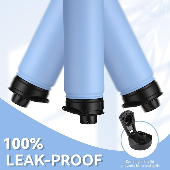 HASLE OUTFITTERS Insulated Water Bottle 22 oz Double Wall Stainless Steel Water Bottle Wide Mouth with Straw Lid & Spout Lid Keeps Cold or Hot(Blue,4)