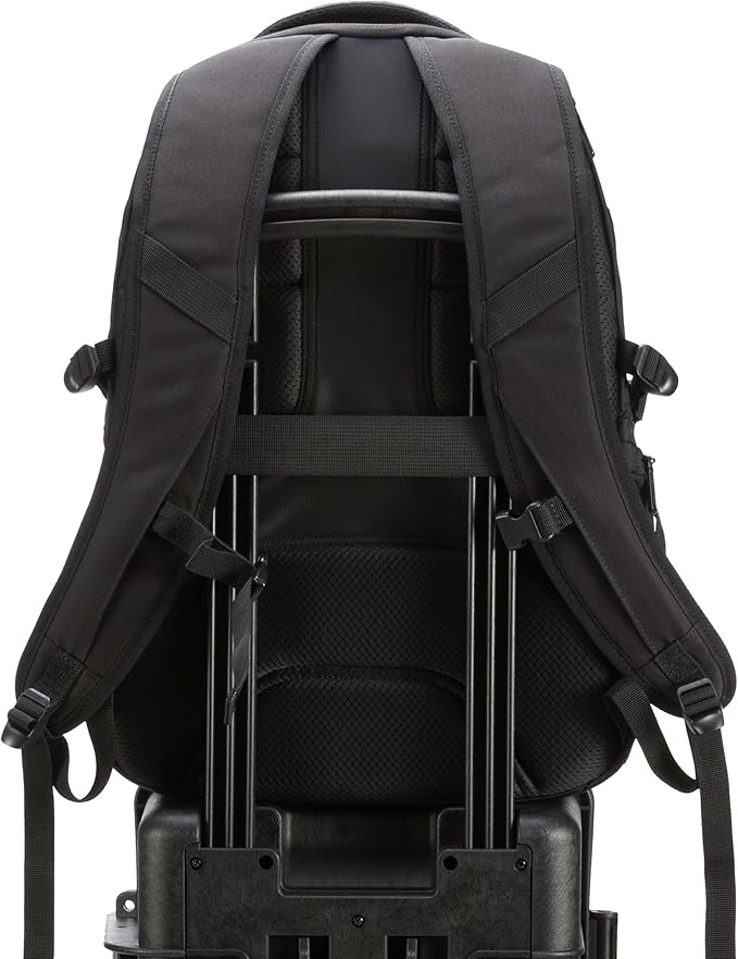 Amazon Basics Travel Laptop Backpack for 17 in / 43.1 cm Laptop, Black