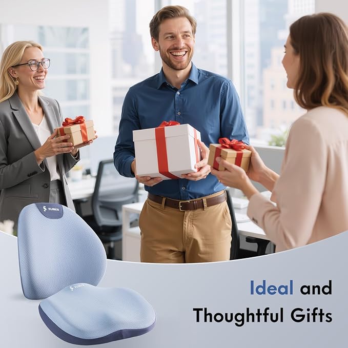 FLORICH Seat Cushion and Lumbar Support Pillow for Office Chair Car, Ergonomic Memory Foam Back Support for Office Gaming Chair Driving Seat Wheelchair, Relieves Neck, Back & Sciatica Pain – Blue