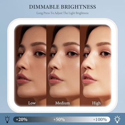 Travel Makeup Bag with LED Lighted Mirror, Cosmetic Makeup Organizer Bag with 3 Color Setting, Makeup Train Case with Adjustable Dividers for Women Makeup Brushes Jewelry Accessories