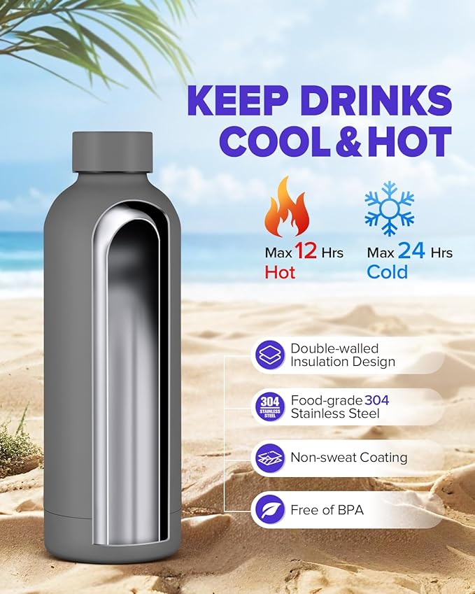 Insulated Water Bottle with Lid, 17 oz Reusable Leak-Proof Metal Stainless Steel Water Bottles for Travel, Sports, Gym, Outdoor (Gray)