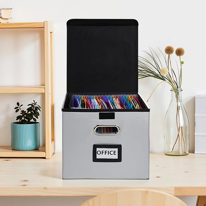 File Organizer Box with Folder, 25 Pockets Accordion File Organizer with Colored Labels, Upgraded & Portable File Folders for Home, Office, School, Silver