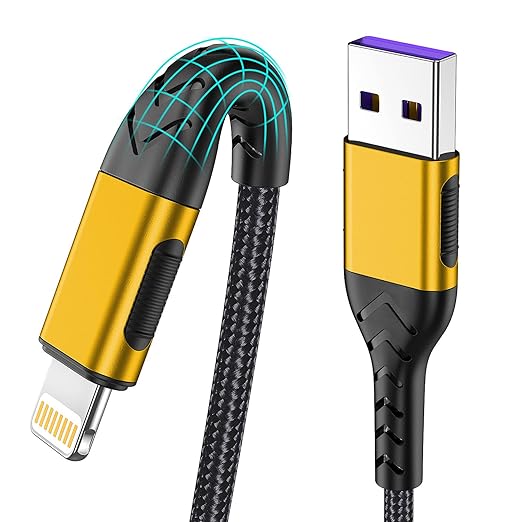 iPhone Charger, [Apple MFi Certified] 3Pack 10FT USB A Cable for Lightning Charger Cable, Fast iPhone Charging Cord Compatible with with iPhone Xs Max/XS/XR/X/8/7/6S/6/Plus/SE/iPad(Gold)