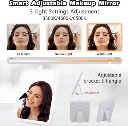 Travel Makeup Bag with Light Up Mirror, Portable Makeup Bag with Led Light Women Waterproof Makeup Travel Case adjustable dividers Rechargeable Vanity Mirror with 3 Color Lights (NO Shoulder Strap)