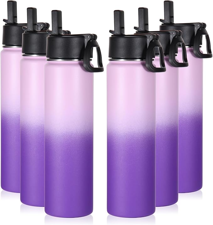Volhoply 24oz Insulated Water Bottle With Straw Bulk 6 Pack,Metal Wide Mouth Water Bottles With Handle Keep Cold,Reusable Double Wall Cups,Powder Coated Sport Bottle For Holder(Lavender,6 Count)
