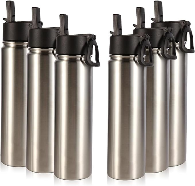 Volhoply 24oz Insulated Water Bottle With Straw Bulk 6 Pack,Metal Wide Mouth Water Bottles With Handle Lid Keep Cold,Reusable Double Wall Cups,Powder Coated Sport Bottle For Holder(Sliver,6 Count)