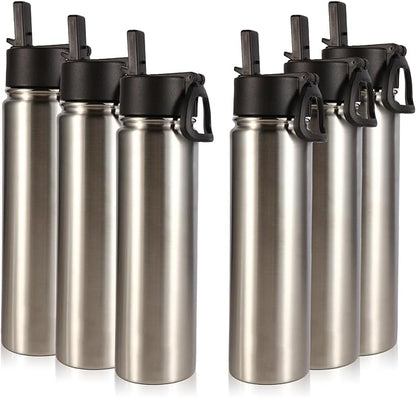Volhoply 24oz Insulated Water Bottle With Straw Bulk 6 Pack,Metal Wide Mouth Water Bottles With Handle Lid Keep Cold,Reusable Double Wall Cups,Powder Coated Sport Bottle For Holder(Sliver,6 Count)