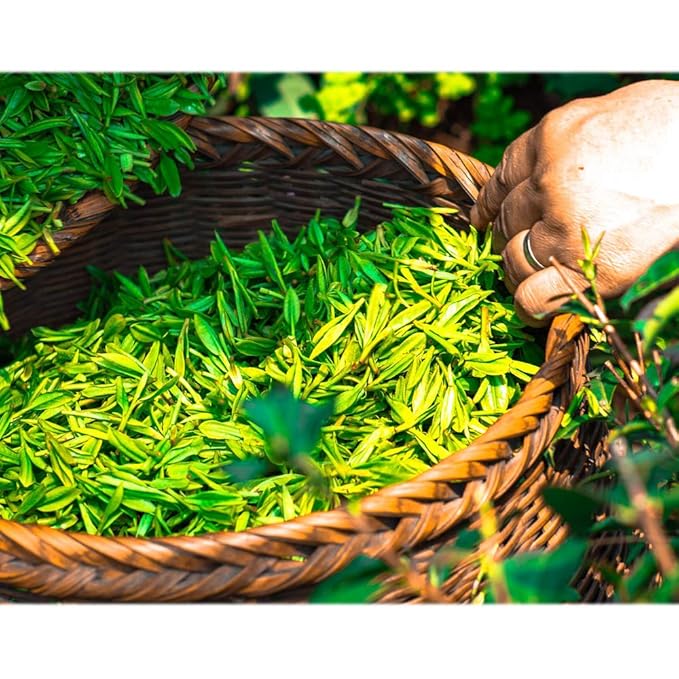 ECO Amenities 60 Pcs, 4-Piece Travel Size Toiletries Kit, Includes Small Bar Soap, 2 in 1 Hotel Shampoo and Conditioner Supplies for Guests, Body Lotion, Travel Toothbrush Set with Toothpaste, 15 Kits