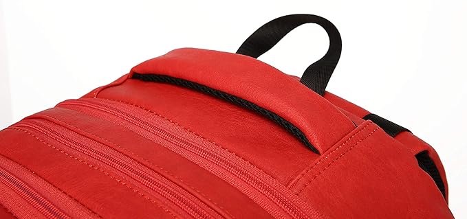 Sole Premise Leather Bag for Multi-functional Travel Carry-on with Shoe, Laptop and Clothes Compartments for Men & Women (Red)